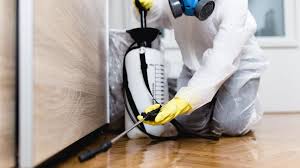 Best Pest Exclusion Services  in Bromley, KY